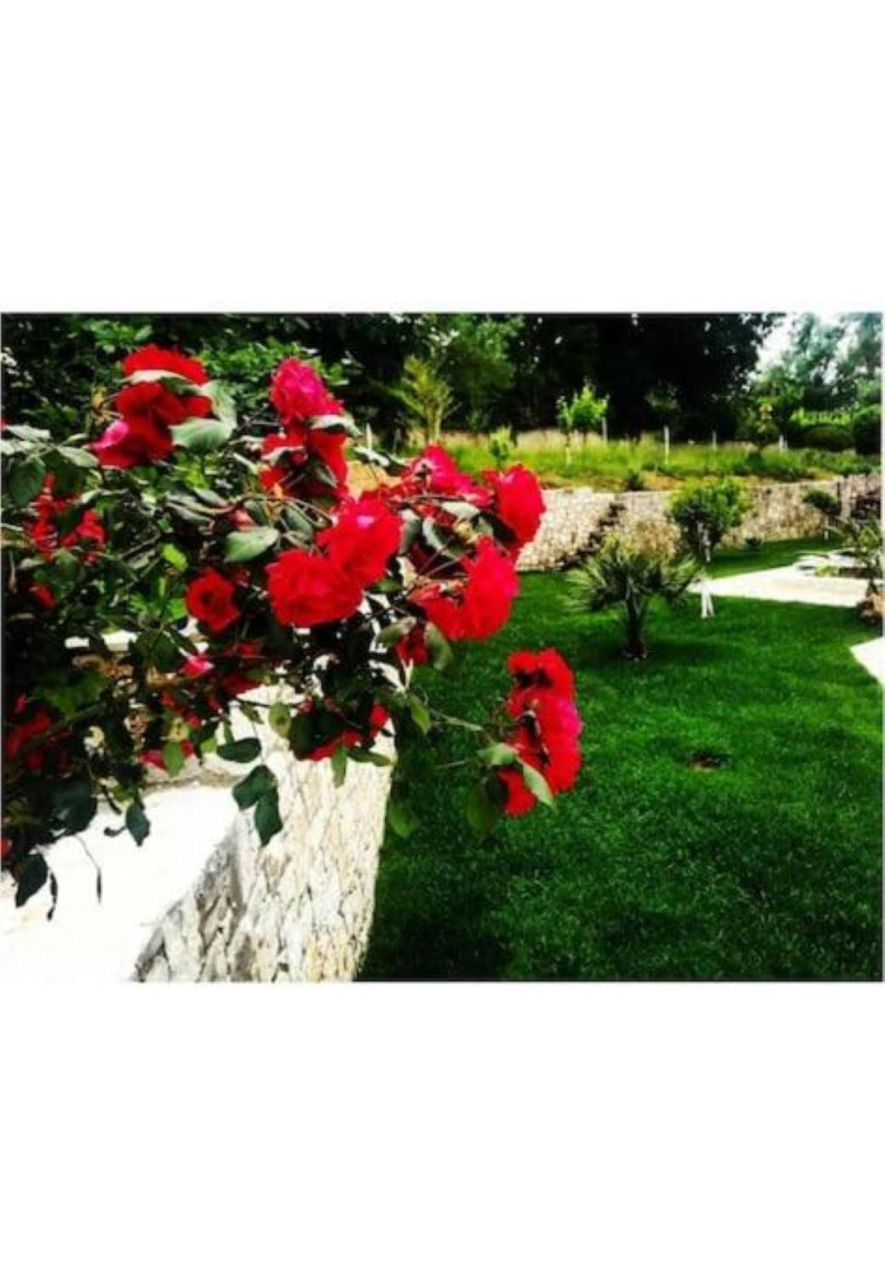 Tatil Evi Petra House